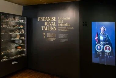Lyndanise. Reval. Tallinn. City Life Through the Centuries - Event image