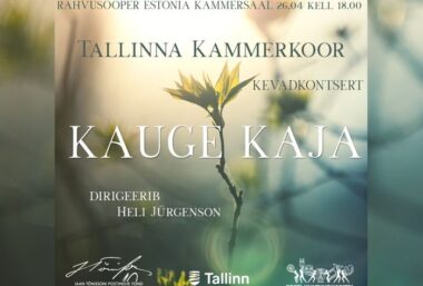 Tallinn Chamber Choir Spring Concert Distant Echo - Event image