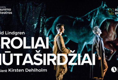 BROLIAI LIŪTAŠIRDŽIAI. Rež. Kirsten Dehlholm - Event image