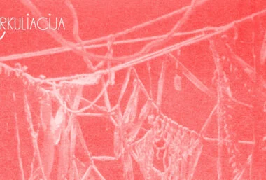 CIRKULIACIJA: Šedevrų Verpetas collective (Ukraina / Lietuva) | ”Tracing the Bounded” PREMJERA - Event image