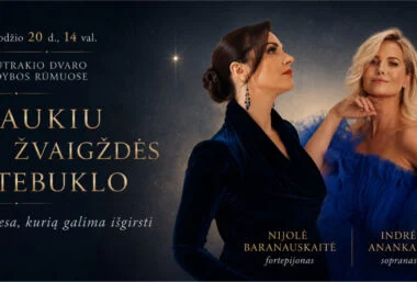 LAUKIU IŠ ŽVAIGŽDĖS STEBUKLO | Šviesa, kurią galima išgisti - Event image