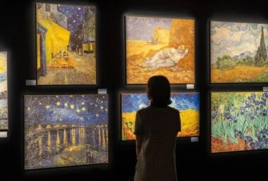 The Van Gogh Experience Exhibition - 活动图片