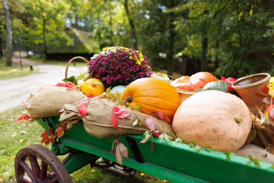 Miķeļi – Autumn Harvest Festival and Market - Renginio paveikslėlis 2
