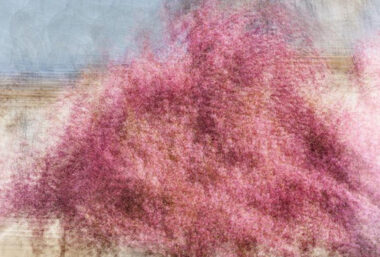 Jacob Gils’ exhibition - Event image