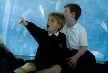 FRAMELESS: SCHOOLS SELF-LED TOUR - Event image