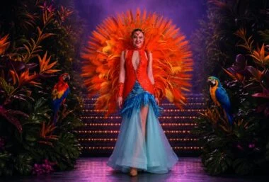 Dance show – Sol do Brasil - Event image