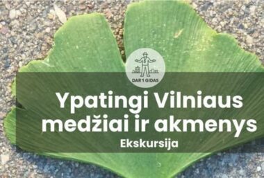 Ekskursija Ypatingi Vilniaus medžiai ir akmenys - Event image