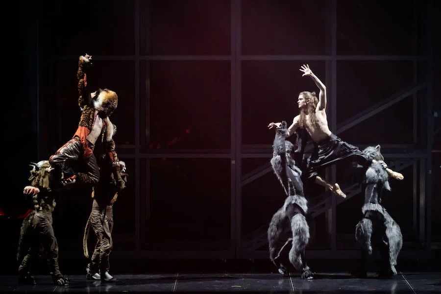 Ballet “The Jungle Book” - Event image 3