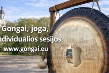 Maudynės Gonge – galingų garsų improvizacija. Veda Vyrenijus. - Event image
