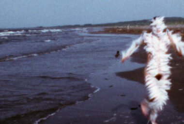 Ana Mendieta’s exhibition - Event image