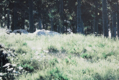 In morning light - Event image