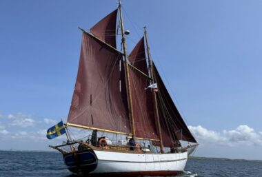 Dagstur i Mollösund - Event image