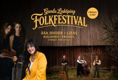 Gamla Linköping FolkFestival - Event image