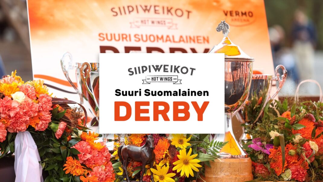 Siipiweikot Suuri Suomalainen Derby – Ravintolapöydät - Event image 2