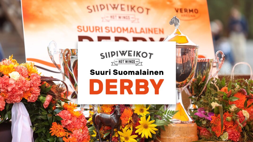 Siipiweikot Suuri Suomalainen Derby la 15.8 - Event image 3
