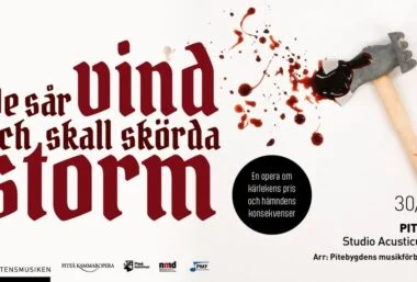 De sår vind och skall skörda storm - Event image