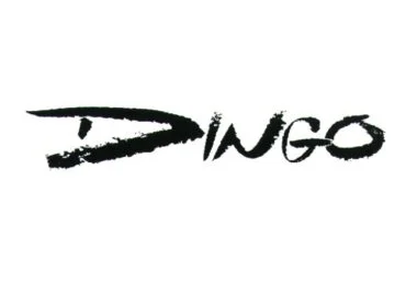 Dingo + Yölintu - Event image