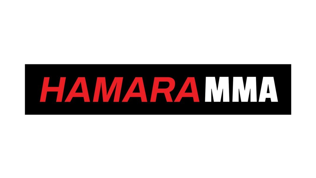 Hamara MMA X Henkipatto - Event image 3