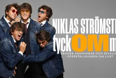 Niklas Strömstedt– Tyck OM mig - Event image