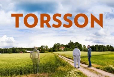 TORSSON – Att vilja men inte kunna - Event image