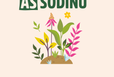 Sodinukų mugė: „Aš sodinu” - Event image