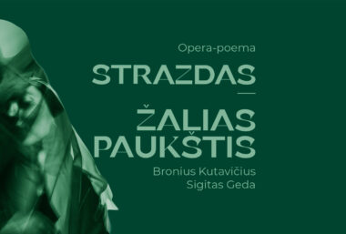 Strazdas – žalias paukštis – Klaipėdos valstybinis muzikinis teatras - Event image