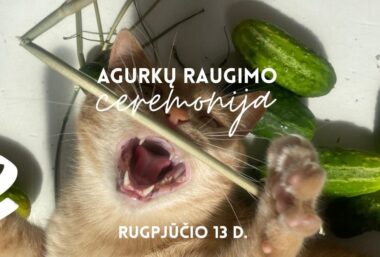 Agurkų raugimo ceremonija - Event image