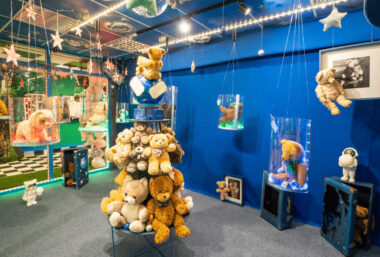 Meškinų muziejuje ”PLUSHY B 55” - Event image