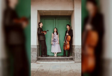 Fortepijoninio trio koncertas - Event image