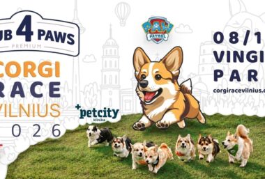 Corgi Race Vilnius 2026 - Event image