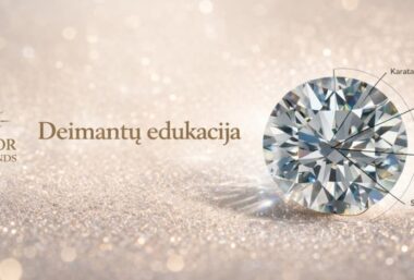 Deimantų edukacija - Event image