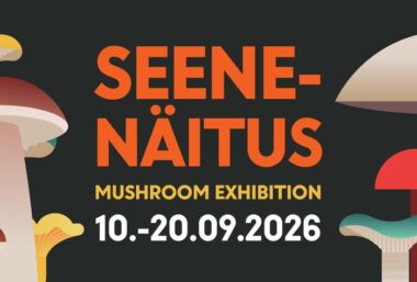 Mushroom Exhibition - Event image
