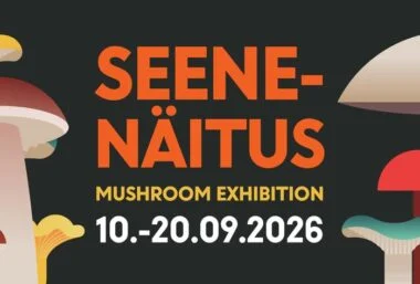 Mushroom Exhibition - Event image