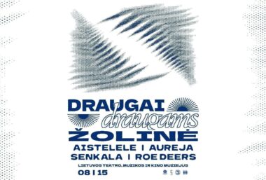 DRAUGAI DRAUGAMS ŽOLINĖ - Event image