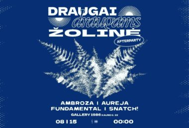 DRAUGAI DRAUGAMS ŽOLINĖ: AFTERPARTY - Event image