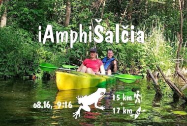 iAmphiSalcia - Event image