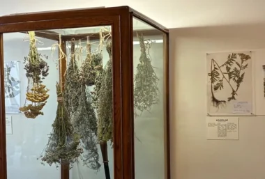Exhibition With one foot in the meadow - Event image