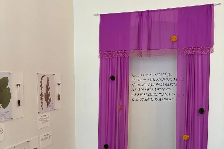 Exhibition With one foot in the meadow - Event image 3