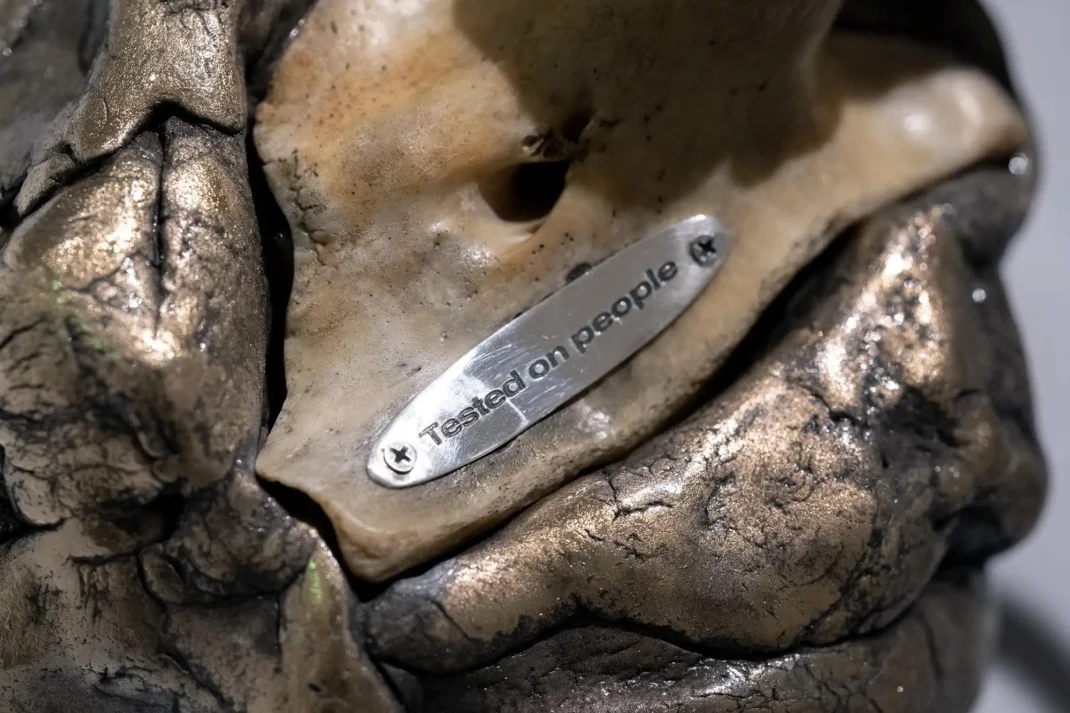 Art installation – Neanderthal Beauty Clinic - Event image 3