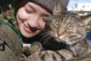 I’m a Cat Stalker (Cat & Dog) - Event image