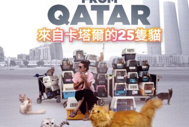 25 Cats From Qatar (InDPanda) - Event image