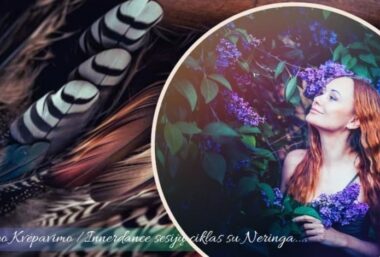 Sąmoningo kvėpavimo / Innerdance sesijos - Event image