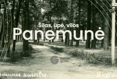 Šilas, upė, vilos. Ekskursija po Panemunę - Event image