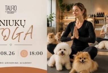 Šuniukų joga Tauro Grooming Academy - Event image