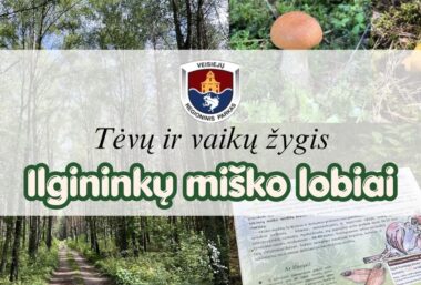 Tėvų ir vaikų žygis “Ilgininkų miško lobiai” Veisiejų regioniniame parke - Event image