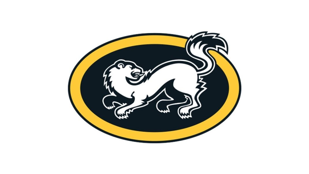 Kärpät-SaiPa – Opiskelijapeli - Event image 2