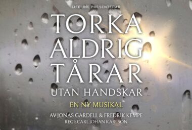 Torka aldrig tårar utan handskar - Event image
