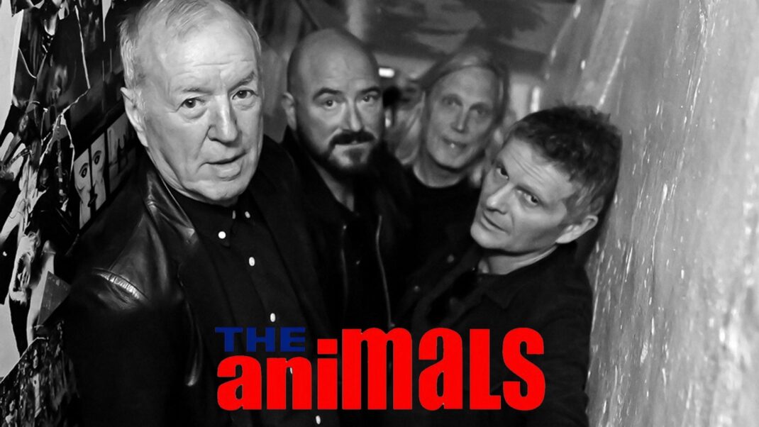 THE ANIMALS – 60th Anniversary World Tour - Event image 3