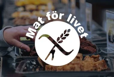 Mat för livet 2026 - Event image