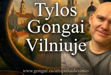 Tylos Gongai – gilaus atsipalaidavimo užsiėmimai. Veda Vyrenijus. - Event image